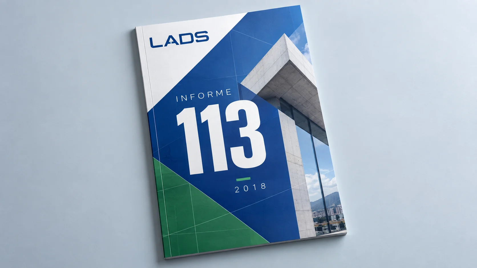 Portada editorial del Informe 113
